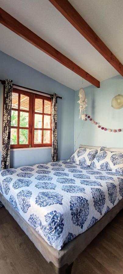 Casa Jardin De Hadas Con Vista Panoramica Pisco Elqui Dış mekan fotoğraf