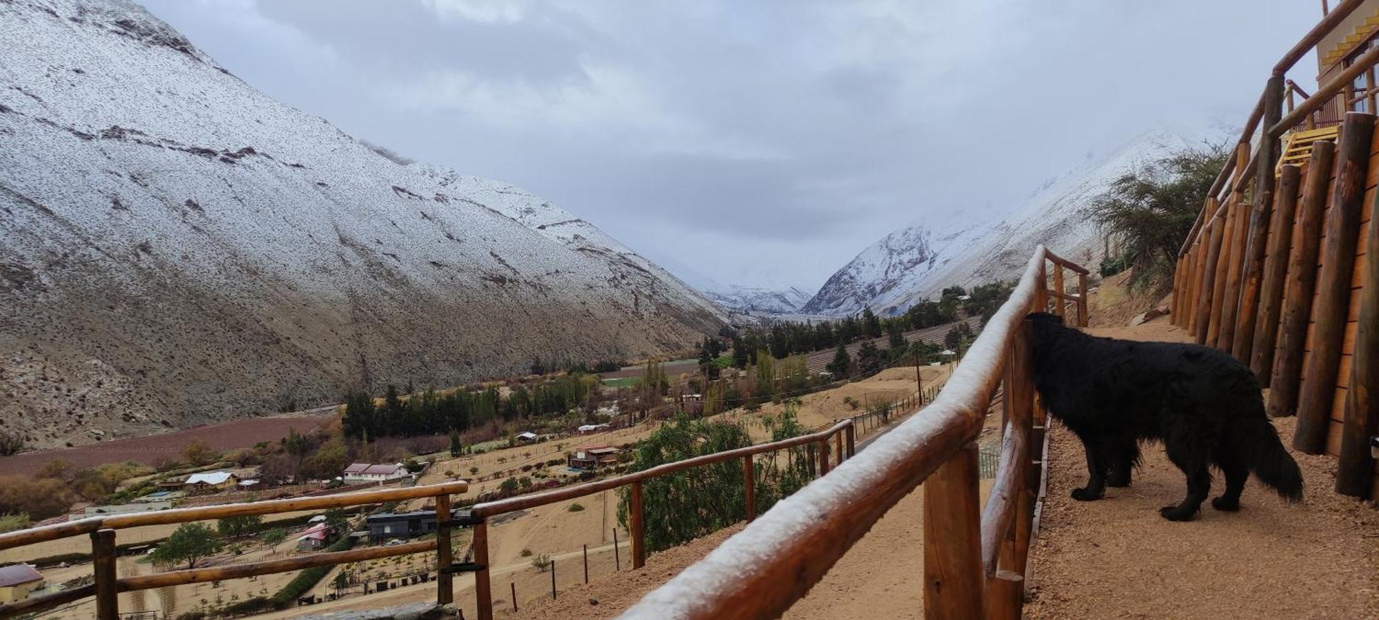 Casa Jardin De Hadas Con Vista Panoramica Pisco Elqui Dış mekan fotoğraf